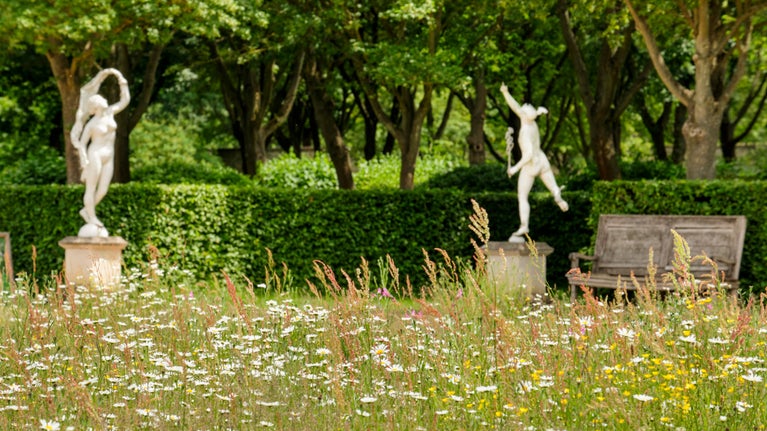 Wildflowers on the Plats at Ham House and Garden, London with two statues and the tree-filled Wilderness area beyond.
